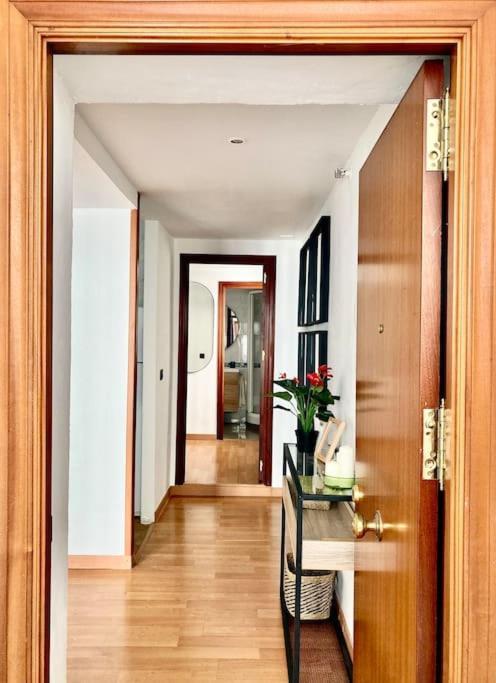 Papallona Cadiz Apartment Grupo Ac Gestion ภายนอก รูปภาพ